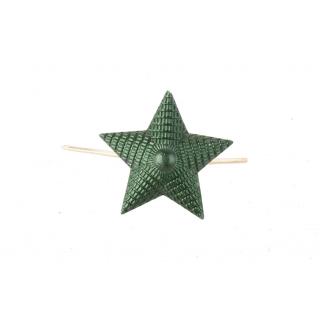 Звезда оливковая рифленая