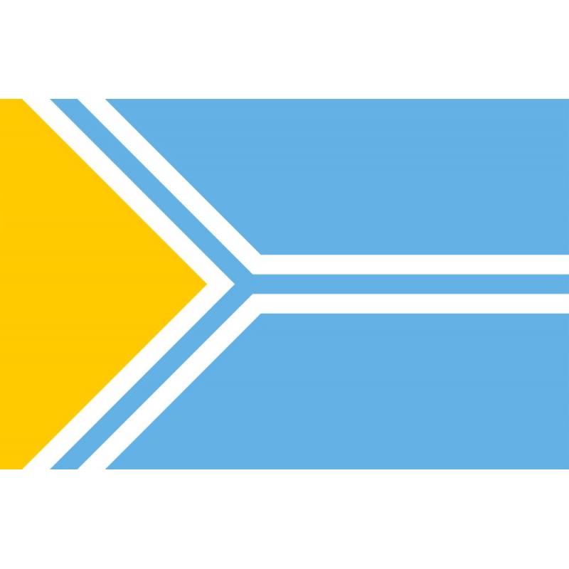 271 флаг республики Тыва